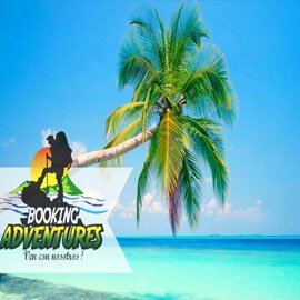 saona booking kalandok