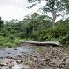 Punta Cana Helicopter Tour to Salto de la Jalda Waterfall 60-Minutes Experience - Image 5