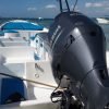 Saona Island Rentals - Rent a private boat - Image 5