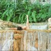 Hotel + Hiking +Swimming + Kayaking 2 Days trip  Los Haitises - Image 27