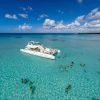 Saona Island Private Tour from Punta Cana Hotels- Punta Cana Lobby - Image 9