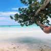Saona Island Private Tour from Punta Cana Hotels- Punta Cana Lobby - Image 4