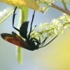 2 Hours Hiking Rain Forest Los Haitises - Image 43