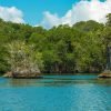 4 Hours Kayak Los Haitises - Image 2