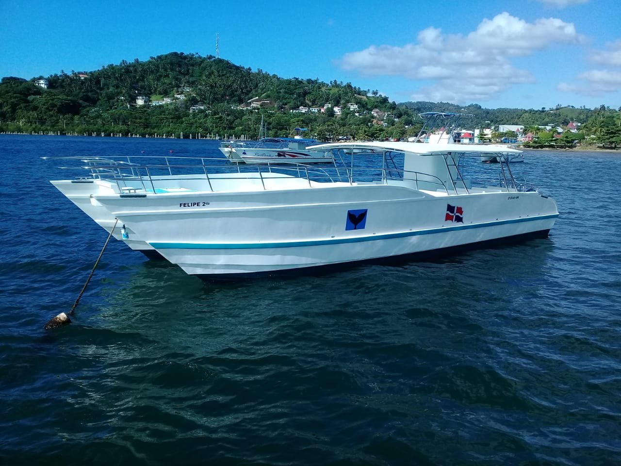 Private Catamaran Samana Bay - Image 5