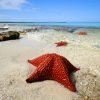 Bahía de las Aguilas: Beach Day Trip by Boat -Day Pass - Snorkeling & Lunch - Image 13