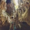 Los Haitises National Park Tour from Punta Cana, Montana Redonda & Cano Hondo - Image 16