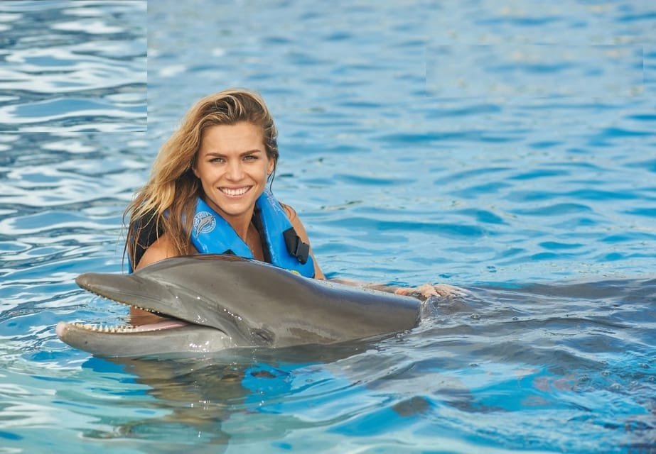 Punta Cana: Swim with Dolphins in the Pool - Image 3