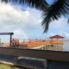 From Punta Cana: Whale Watching and Montana Redonda Tour - Image 13