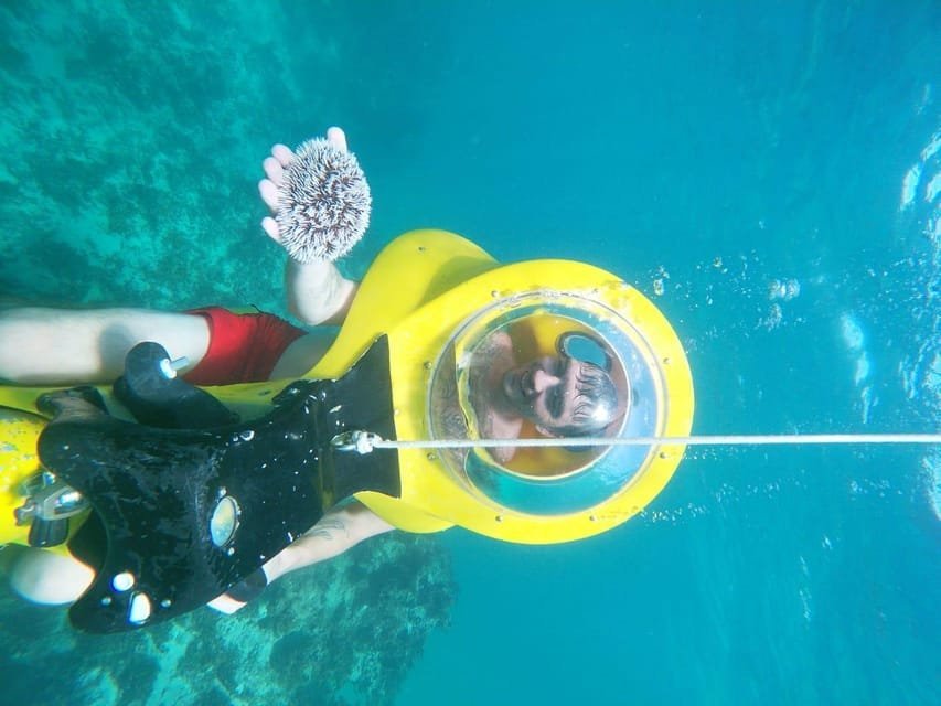 Scuba Doo - Diving Scooters in Punta Cana - Image 14