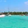 Catamaran Tour to Saona Island: Lunch & Open Bar Experience - Image 12