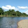 From Bayahibe: Half-day La Romana ATV or 4X4 Buggy Tour - Image 25