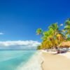 From Punta Cana: Saona Island Full Day Trip with Lunch - Image 16