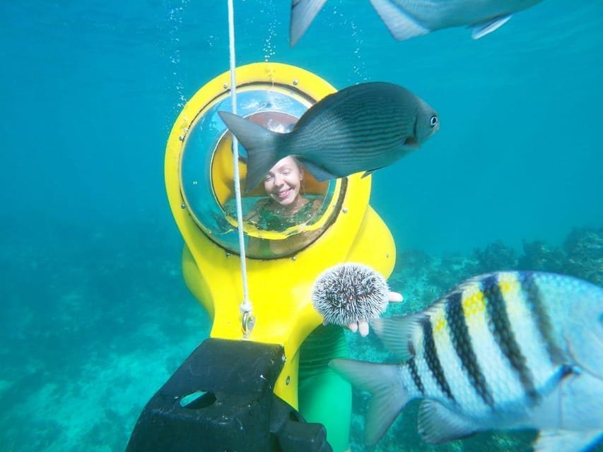 Scuba Doo - Diving Scooters in Punta Cana - Image 18