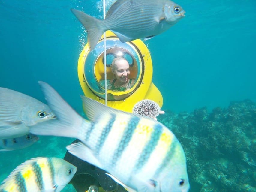 Scuba Doo - Diving Scooters in Punta Cana - Image 19