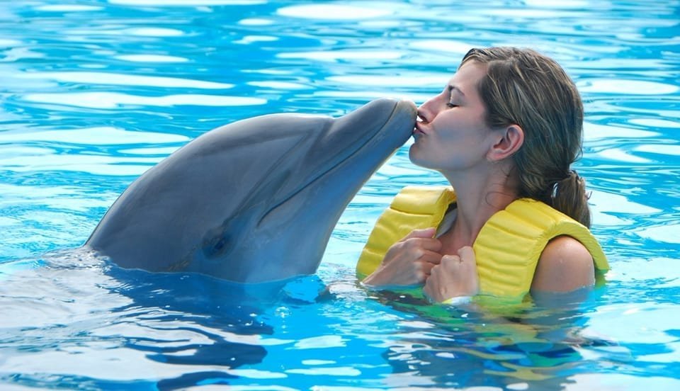 Punta Cana: Swim with Dolphins in the Pool - Image 4