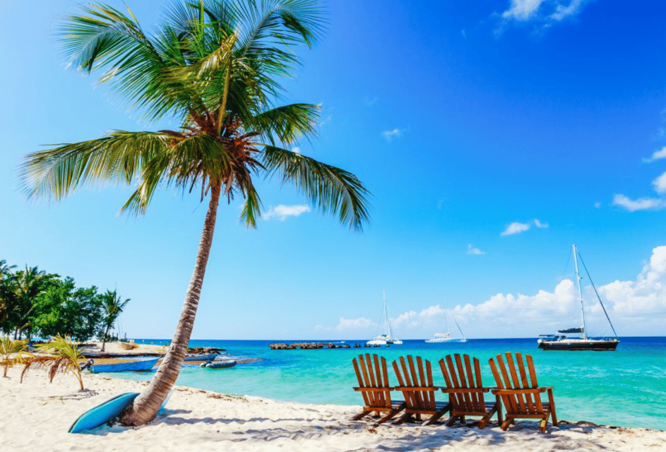 Catalina Island snorkeling Dominican Republic - Image 4