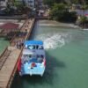 From Punta Cana: Whale Watching and Montana Redonda Tour - Image 5