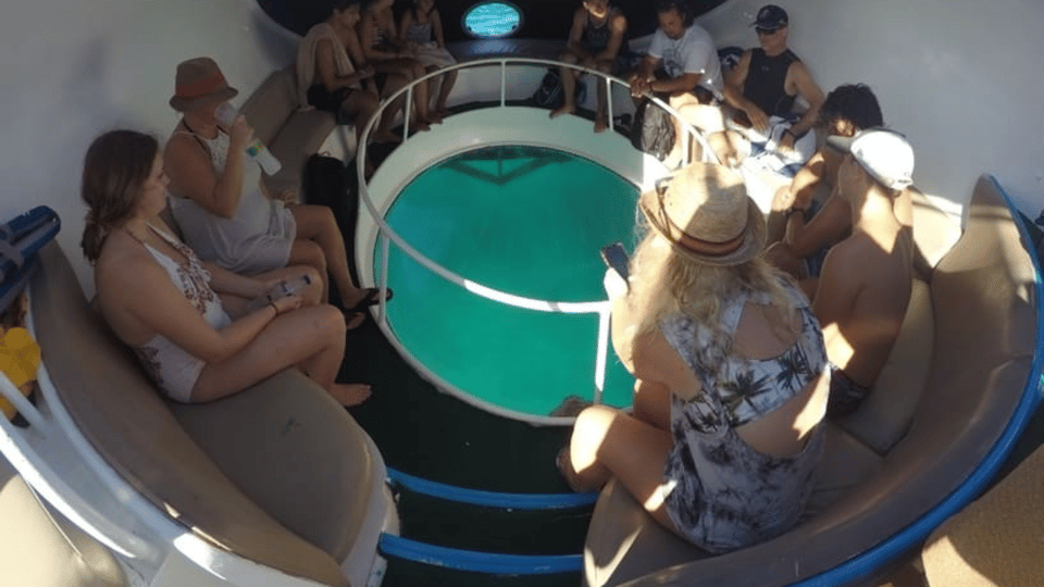 Punta Cana: Scubadoo Explore The Ocean - Image 5