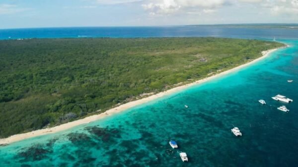Punta Cana: Catalina Island Scuba Diving Day Trip