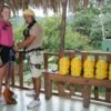 Punta Cana: Ziplines Adventures & Monkeyland Entry - Image 6