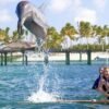 Punta Cana: Dolphin Experience in the Sea - Image 7