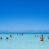 Full-Day Catalina Island With Scuba Diving - Image 2