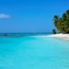 Catamaran Tour to Saona Island: Lunch & Open Bar Experience - Image 5