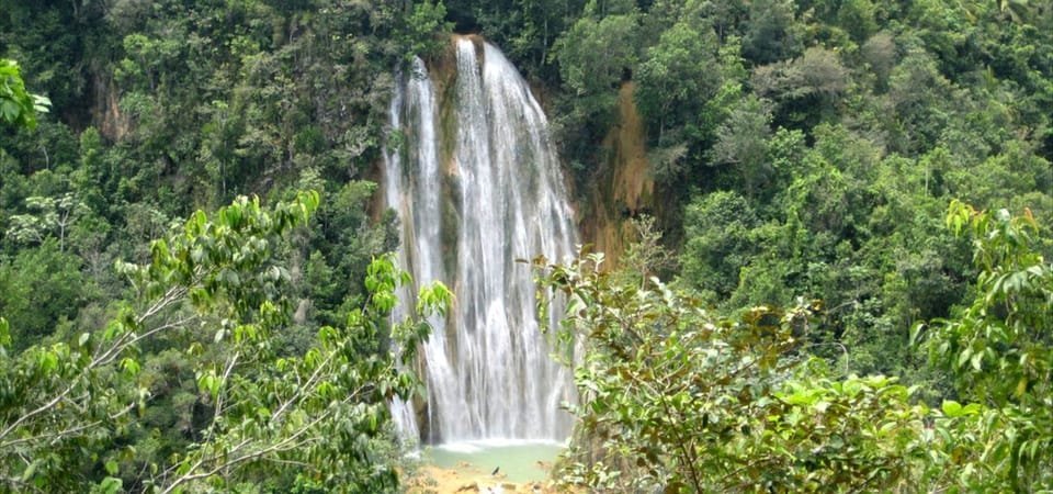 From Punta Cana: Samaná, Cayo Levantado & El Limón Waterfall - Image 2