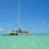 Experience Saona Island from Punta Cana - Image 8