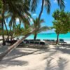 Catamaran Tour to Saona Island: Lunch & Open Bar Experience - Image 7