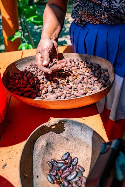Punta Cana: Bavaro Runners Safari Tour - Image 2