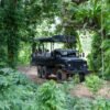 Punta Cana: Zipline, Chairlift, Buggy & Horse Ride Adventure - Image 11