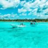 Discover Saona Island: Enjoy The Paradise - Image 10