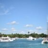 From Punta Cana: Saona Island Full Day Trip with Lunch - Image 11