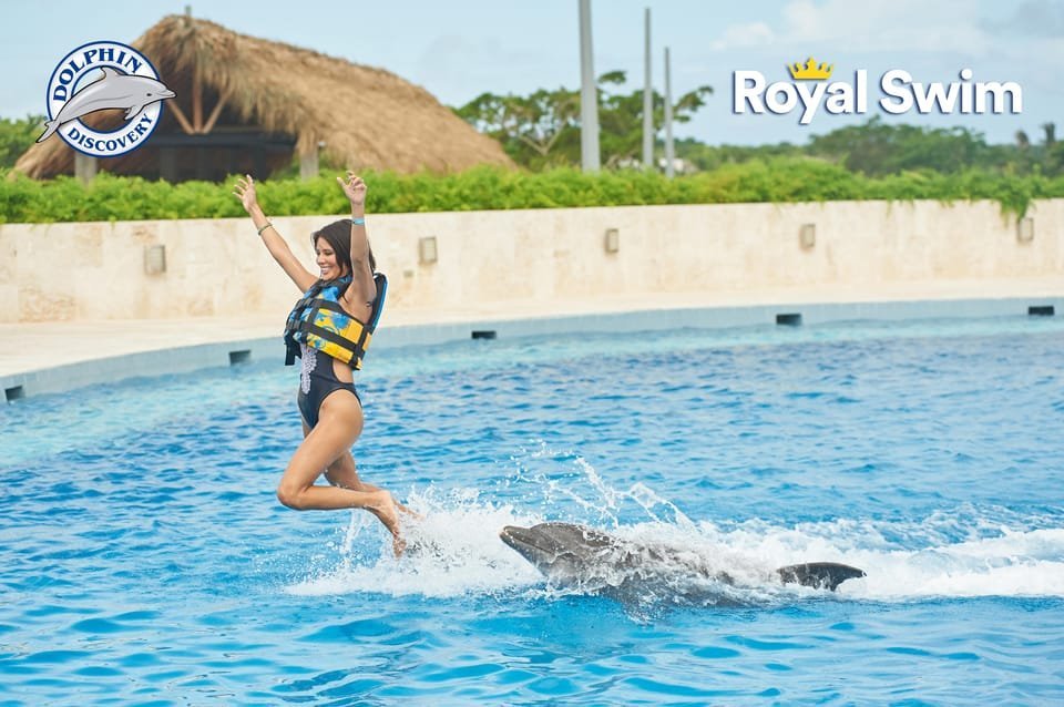 Punta Cana: Swim with Dolphins in the Pool - Image 2