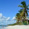 Punta Cana: Catalina Island Snorkeling Tour with Lunch - Image 2