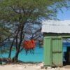 Bahía de las Aguilas: Beach Day Trip by Boat - Image 2
