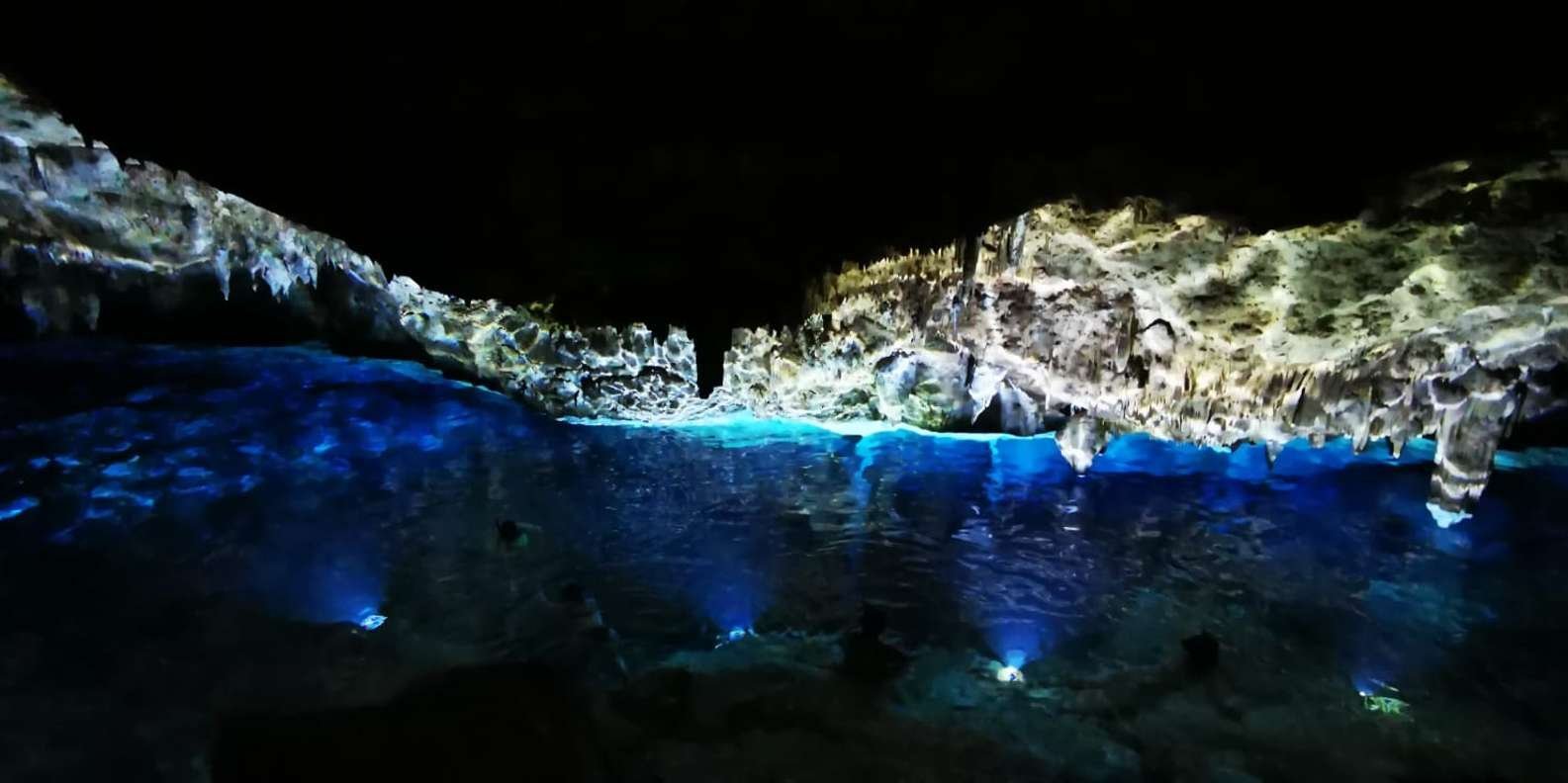 Bayahibe: National Park Jungle Walk & Snorkeling in Cenotes - Image 2