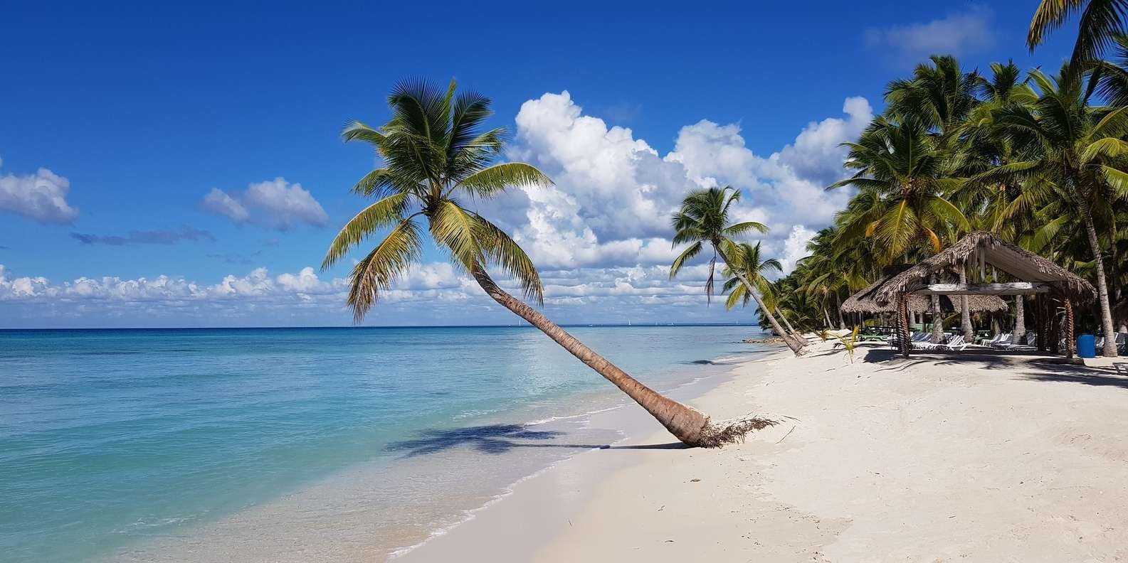 Punta Cana: Saona Island Day Trip - Image 2