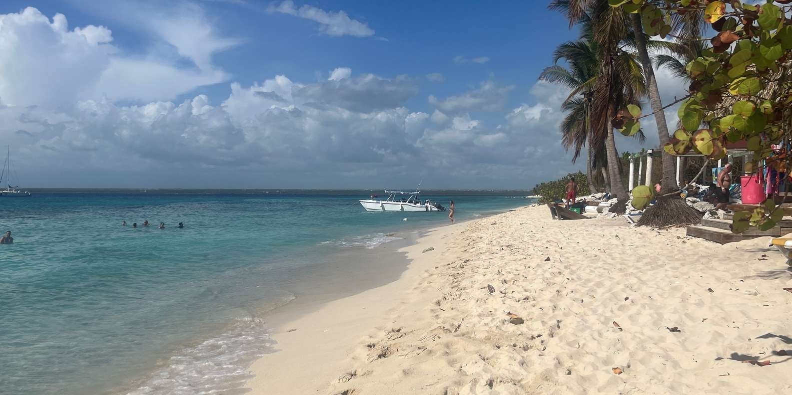 From Punta Cana: Small Group Catalina Island Snorkeling Tour - Image 13