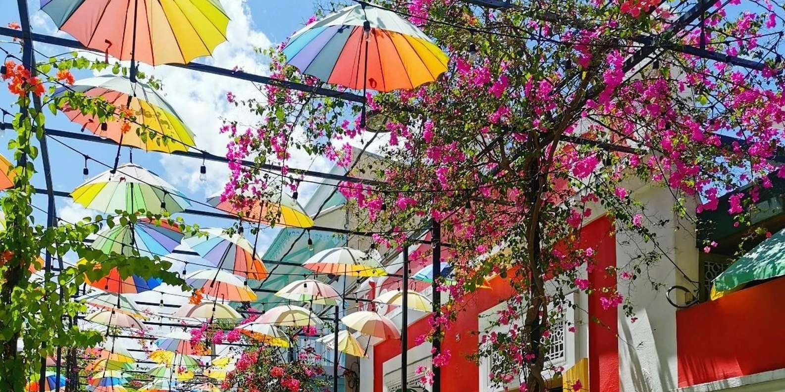 Private Puerto Plata Food Tour and Beach Chillout - Image 14