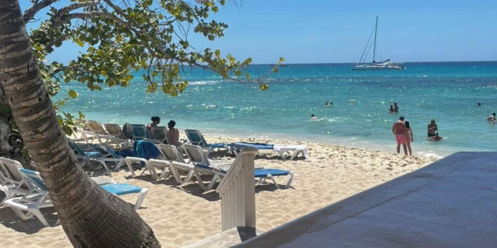 From Punta Cana: Small Group Catalina Island Snorkeling Tour - Image 15