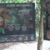 Punta Cana E-bike tour: Macao, El Salado, Ceiba, El Caño - Image 3