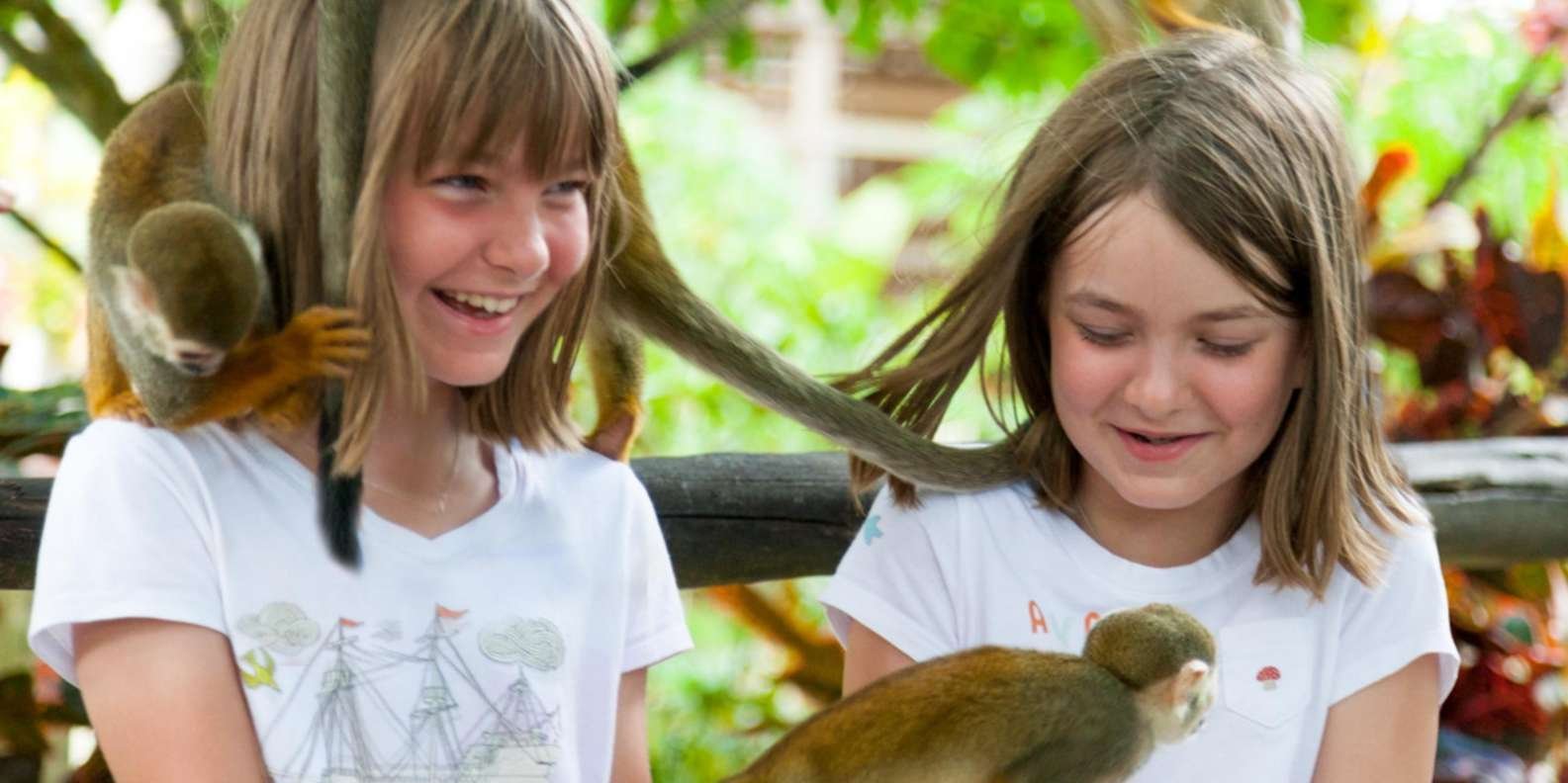 Samaná: Monkeyland and Open-Air Safari Truck Tour - Image 3