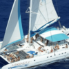 From Punta Cana: Saona Island Full Day Tour w/ Food & Drinks - Image 3