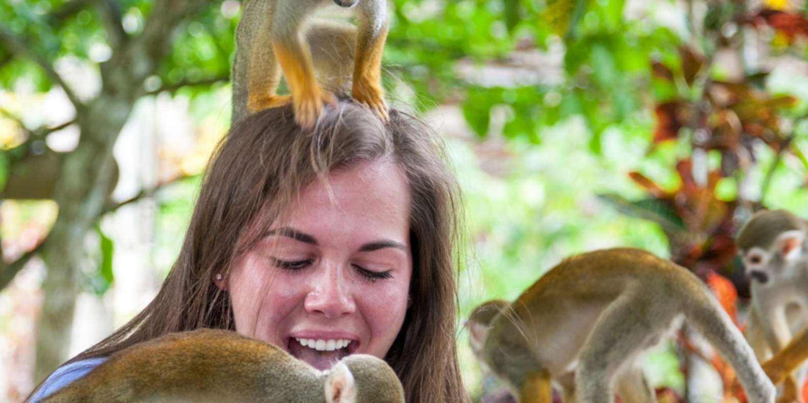 Samaná: Monkeyland and Open-Air Safari Truck Tour - Image 4