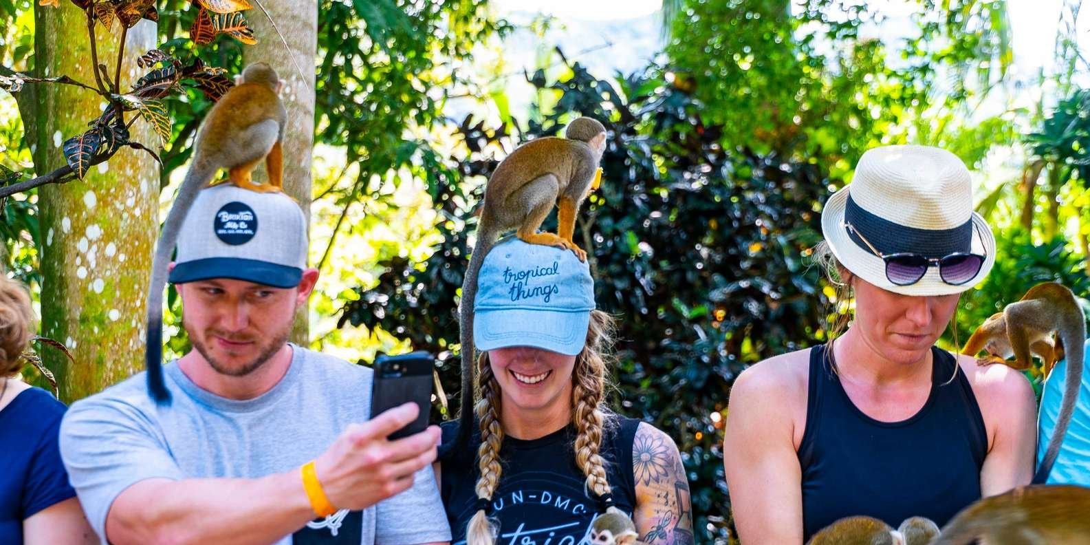 Samaná: Monkeyland and Open-Air Safari Truck Tour