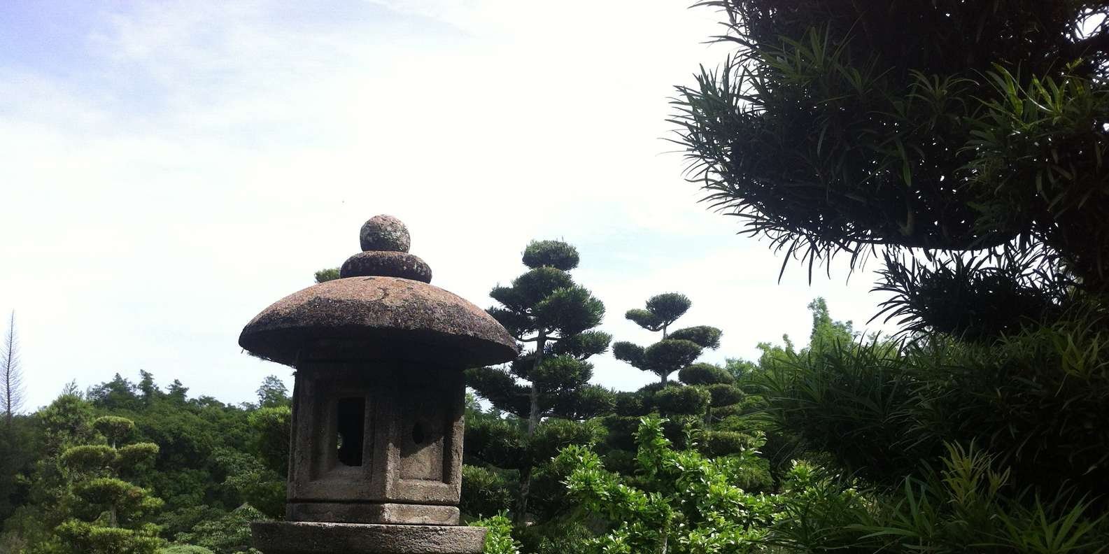 Santo Domingo: Natural Treasures of the City - Image 5