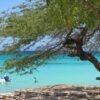 Bahía de las Aguilas: Beach Day Trip by Boat - Image 5